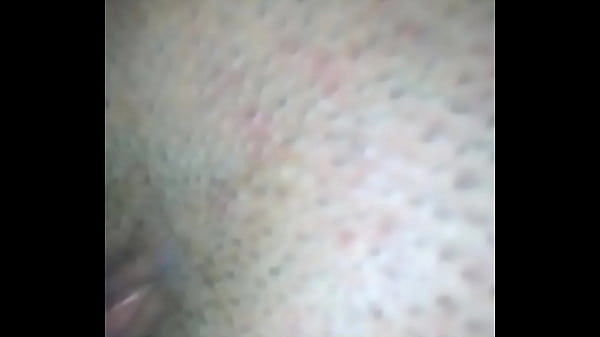 Xvideos Brasil