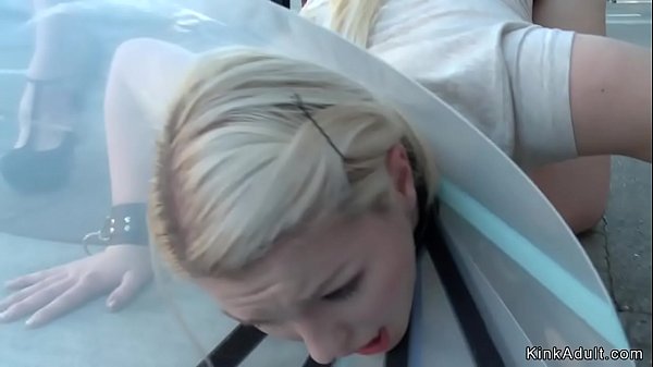 Hot Butt Plugged Blonde Walked On Her All Four In Public Streets Then In Crowded Shop In Bondage Toyed